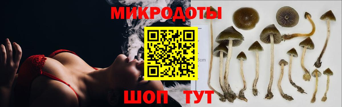 Галлюциногенные грибы ЛСД  наркотики  Псилоцибиновые грибы Cubensis  Нижний Тагил  Вход с VPN 